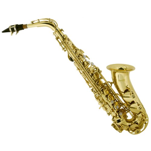 The Best Alto Saxophone for Beginner Students 2020