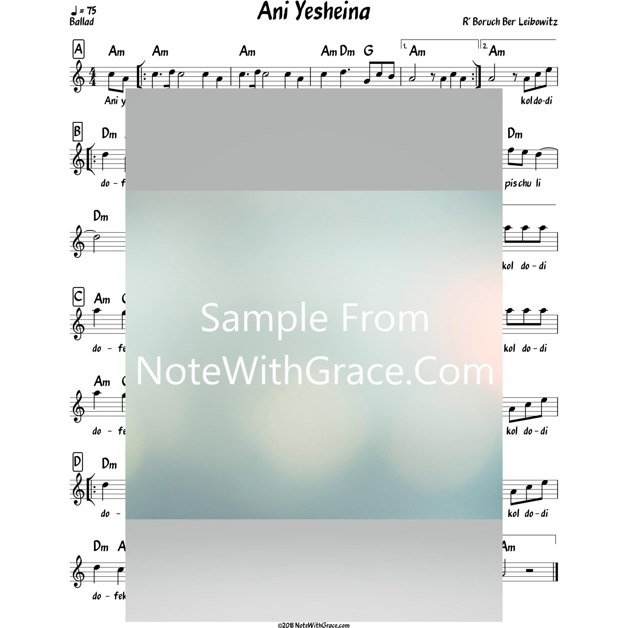 Ani Yesheina Lead Sheet (Traditional/Reb Boruch Ber Leibowitz)-Sheet music-NoteWithGrace.com