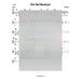 Esh Shel Mashiach Lead Sheet (Gad Elbaz) Released 2014-Sheet music-NoteWithGrace.com