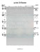 Lernen In Davenen Lead Sheet (Yoel Roth) Single Released 2014-Sheet music-NoteWithGrace.com