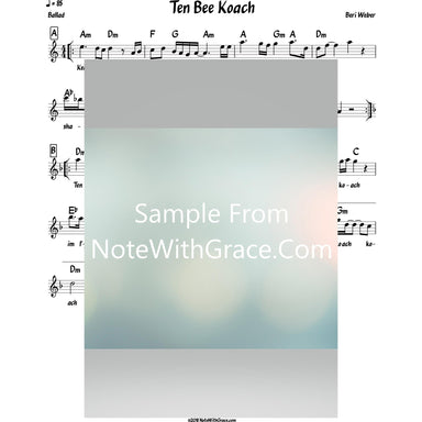Ten Bee Koach Lead Sheet (Beri Weber) Album: Beezras Hashem 2014-Sheet music-NoteWithGrace.com